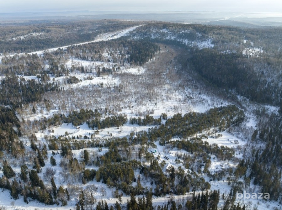 58 Га | Проект частного озера 31 Га | Готовая инфраструктура Красноярск - изображение 10