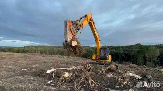 Расчистка территорий от деревьев и пней от 1 Га Брянск