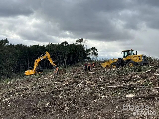 Расчистка территорий от деревьев и пней от 1 Га Брянск - изображение 7