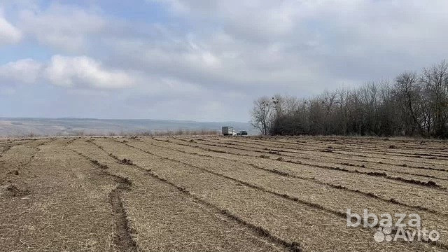 Расчистка территорий от деревьев и пней от 1 Га Брянск - изображение 6