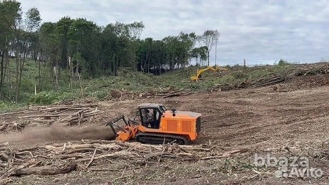 Расчистка территорий от деревьев и пней от 1 Га Брянск - изображение 4