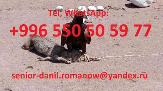 Voyages au Kyrgyzstan, guide, tourism, excursions, balades aux montagnes, c Москва