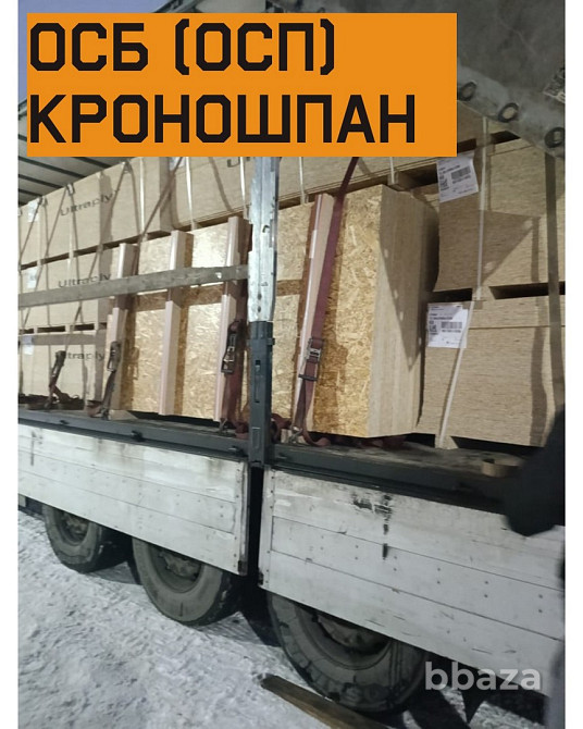 ОСБ (ОСП) Могилев транзит Орел - изображение 1