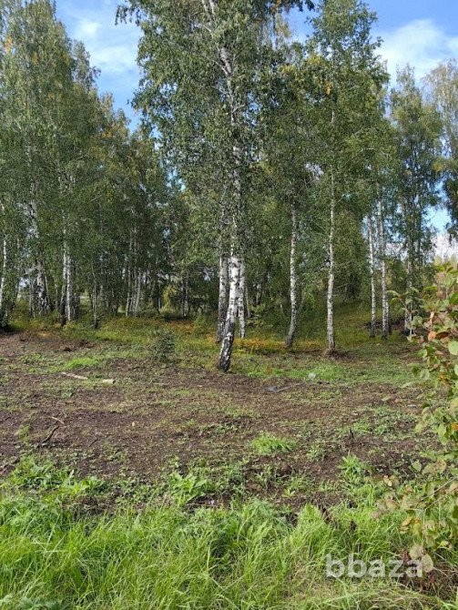 Производственная База 1, 1 Га Красноярск - изображение 8