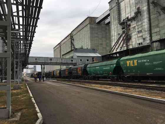 Высококачественное подсолнечное масло оптом от производителя Безенчук