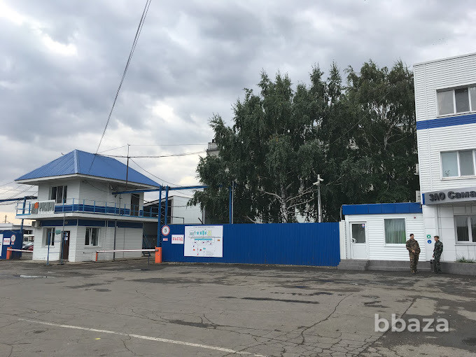 Высококачественное подсолнечное масло оптом от производителя Безенчук - изображение 5