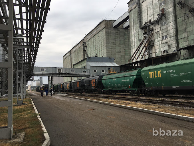 Высококачественное подсолнечное масло оптом от производителя Безенчук - изображение 2