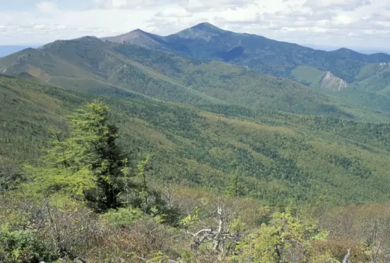 Месторождение редкоземельных металлов в Хабаровском крае. Советская Гавань