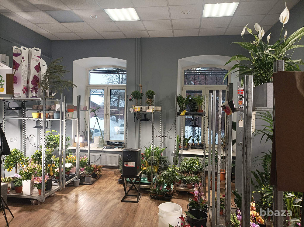 Аренда офиса 51.5 м2 Москва - изображение 2