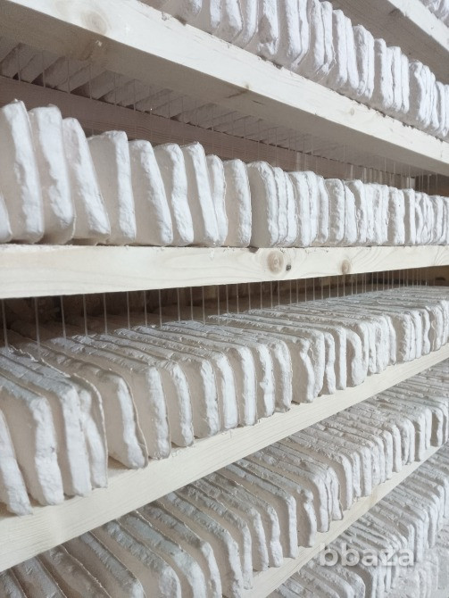 Производство гипсовые изделий Петрозаводск - изображение 1