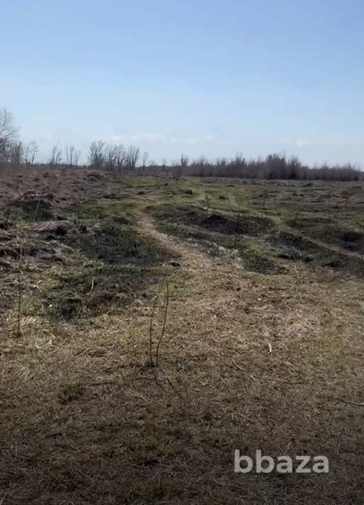 продажа земли под фермерское хозяйство в Алматы Алматы - изображение 4