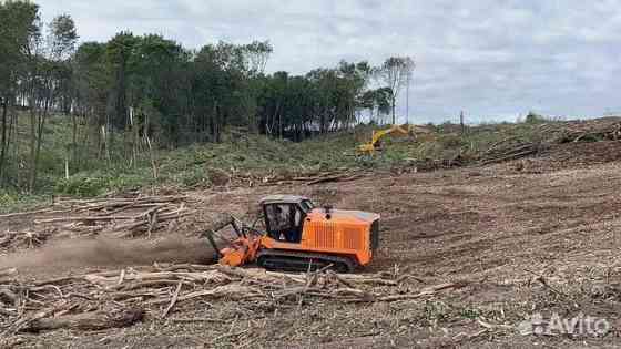 Расчистка территорий от деревьев и пней от 1 Га Воронеж