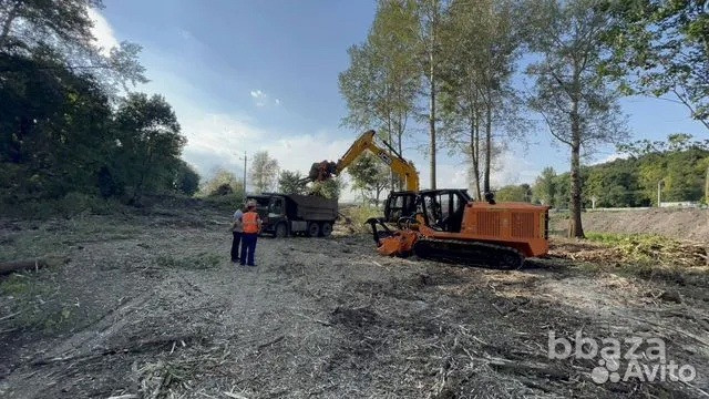 Расчистка территорий от деревьев и пней от 1 Га Воронеж - изображение 8