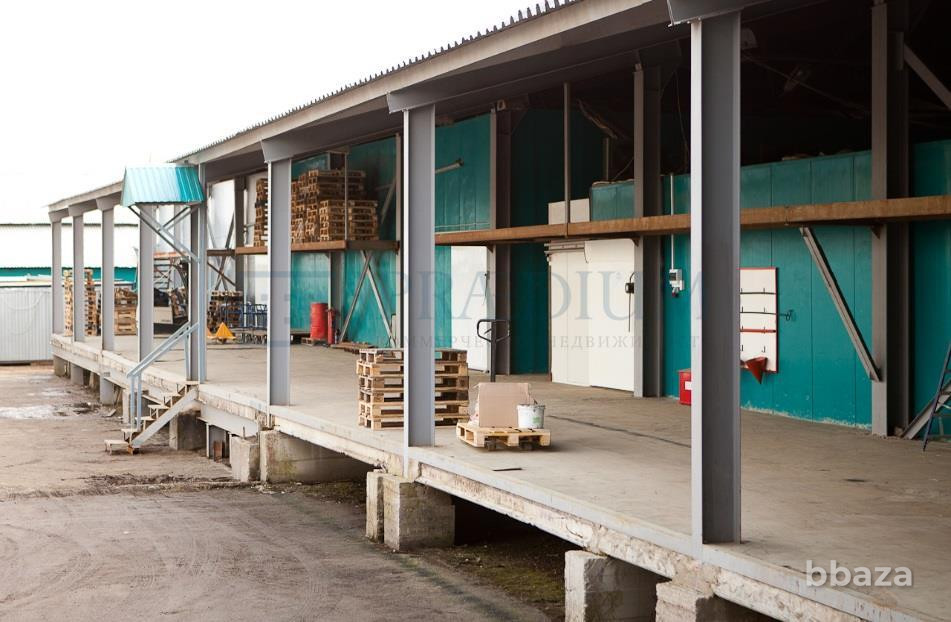 Сдается помещение 2000.00 м² Москва - изображение 4