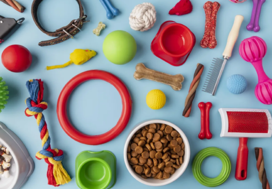 Интернет зоомагазин Краснодар