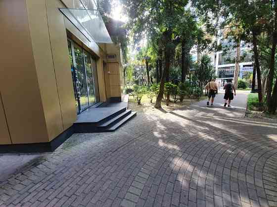 Сдаю в аренду 91,5 кв.м. на 1 этаже в центре Сочи, высокая проходимость Сочи