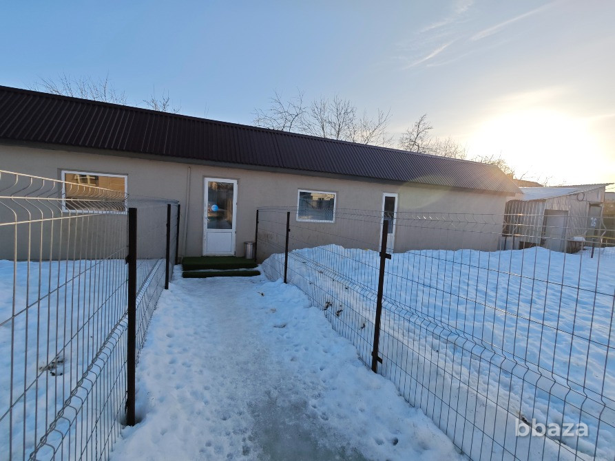 Развитый и перспективный бизнес ЗООГОСТИННИЦА, продается с домом и участком Домодедово - изображение 2