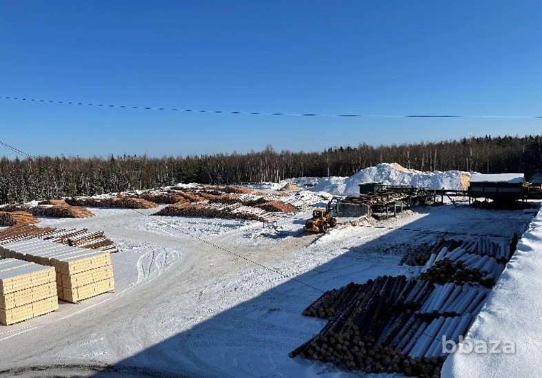 Действующий деревообрабатывающий завод в республике Коми Сыктывкар - изображение 5