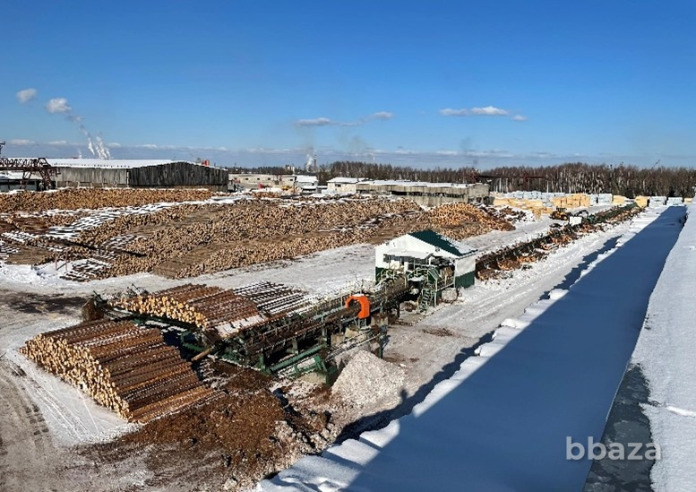 Действующий деревообрабатывающий завод в республике Коми Сыктывкар - изображение 1