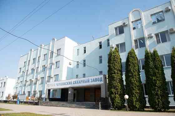 Сахар категории ТС2 оптом от производителя Белгород