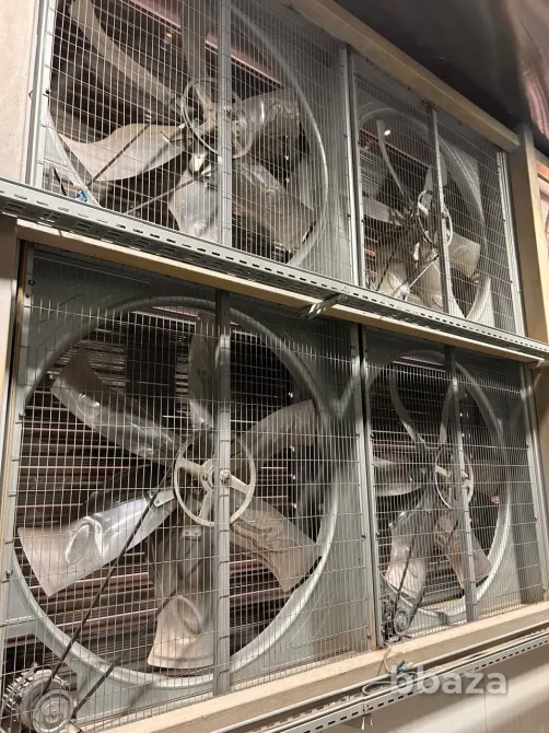 Продажа майнинг площадка с 2 ГПЭС. Актобе - изображение 4