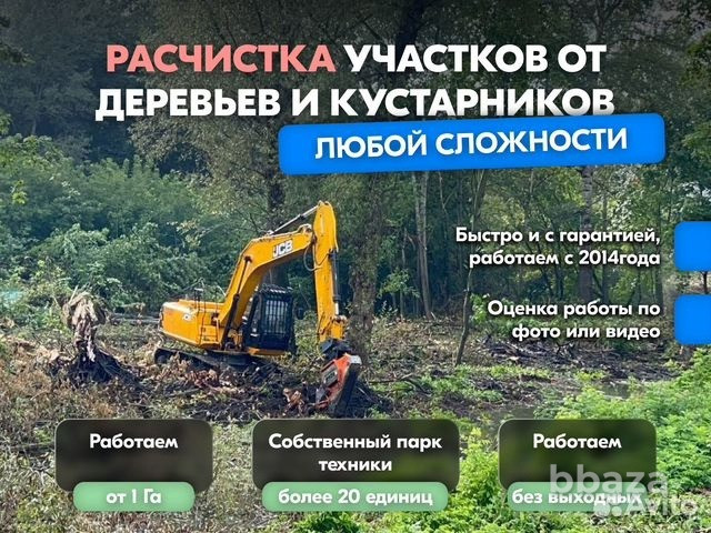Расчистка территорий от деревьев и пней от 1 Га Владимир - изображение 1