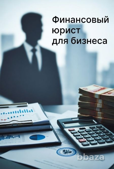Услуги финансового юриста для юр. лиц в Челябинске Челябинск - изображение 1