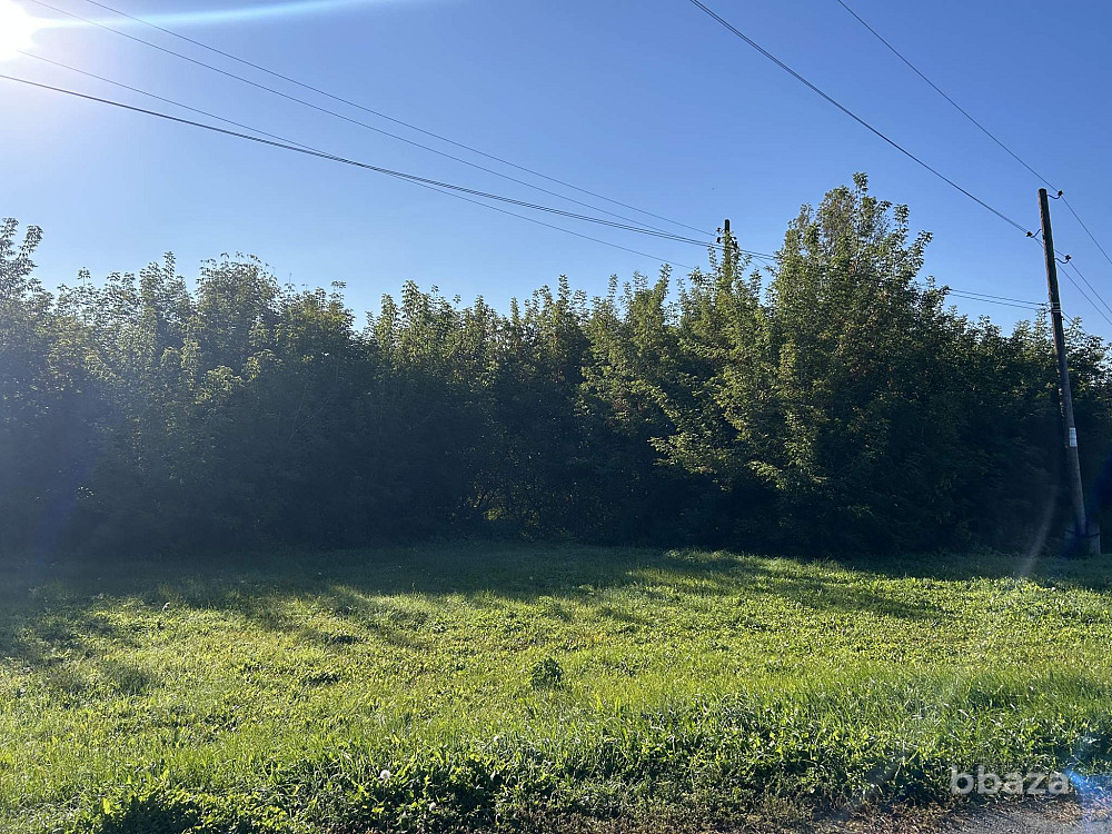 Земельно-имущественный комплекс Ижевск - изображение 9