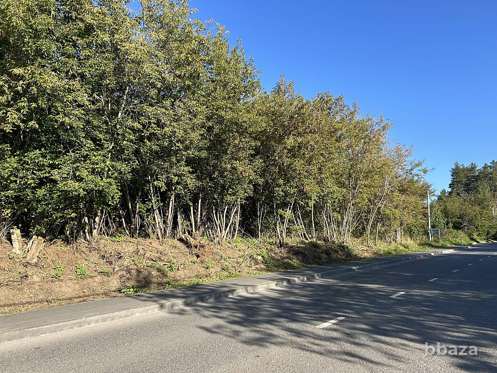 Земельно-имущественный комплекс Ижевск - изображение 3