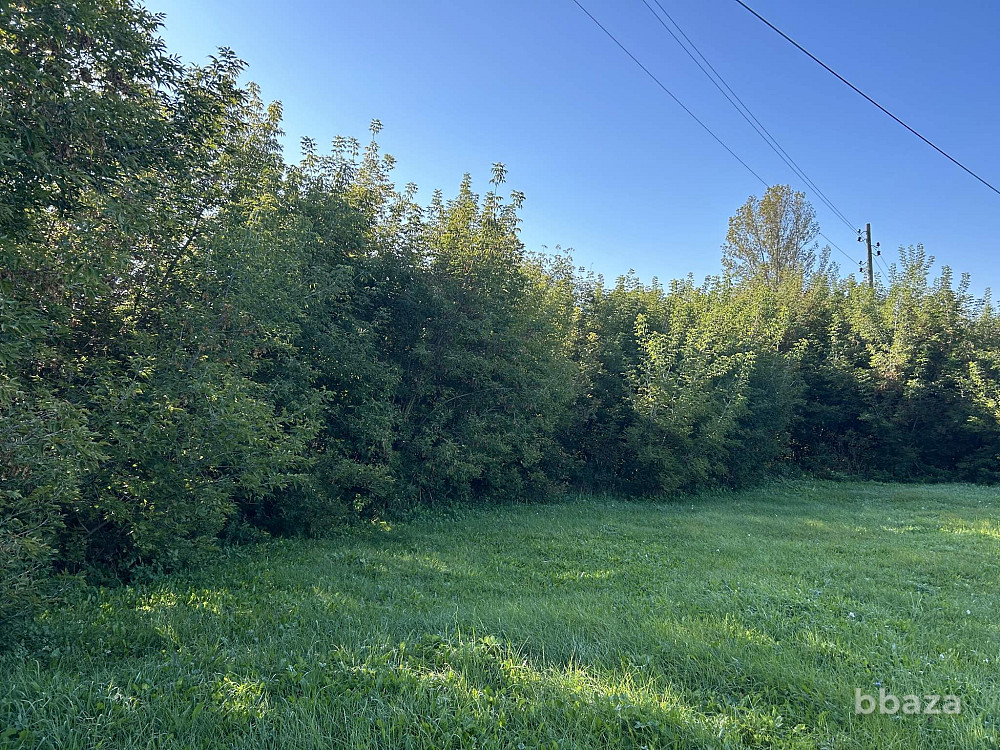 Земельно-имущественный комплекс Ижевск - изображение 7