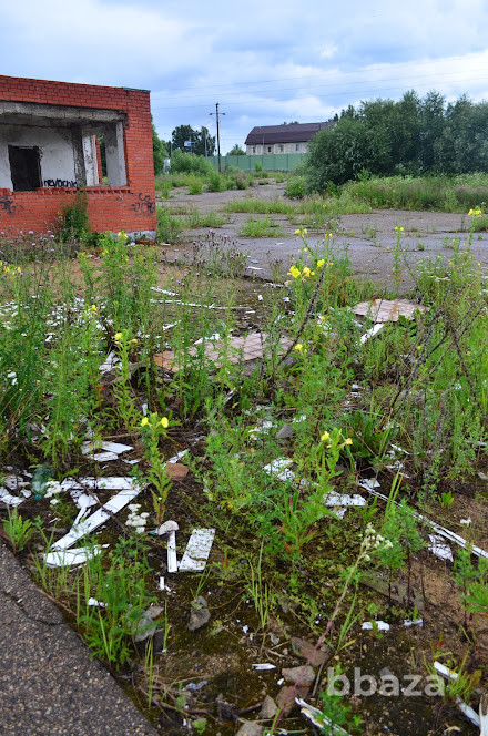 Имущественный комплекс (АЗС) площадью 31.2 кв.м. в Смоленской области Смоленская область - изображение 5