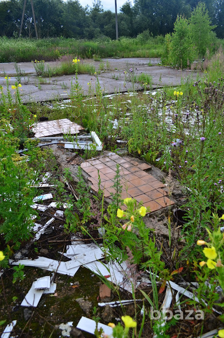 Имущественный комплекс (АЗС) площадью 31.2 кв.м. в Смоленской области Смоленская область - изображение 4