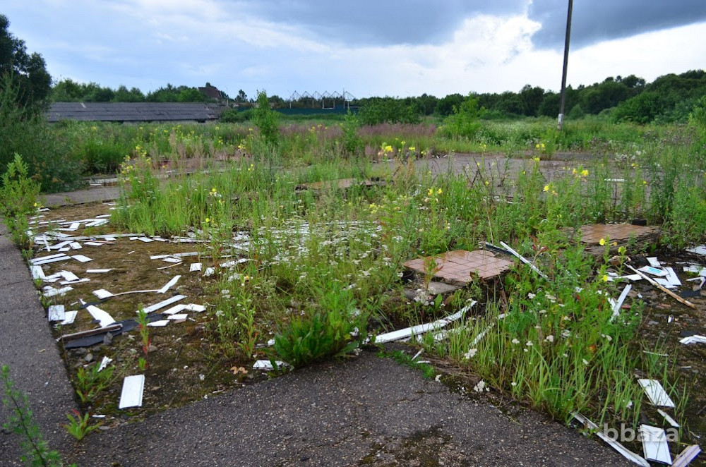 Имущественный комплекс (АЗС) площадью 31.2 кв.м. в Смоленской области Смоленская область - изображение 7
