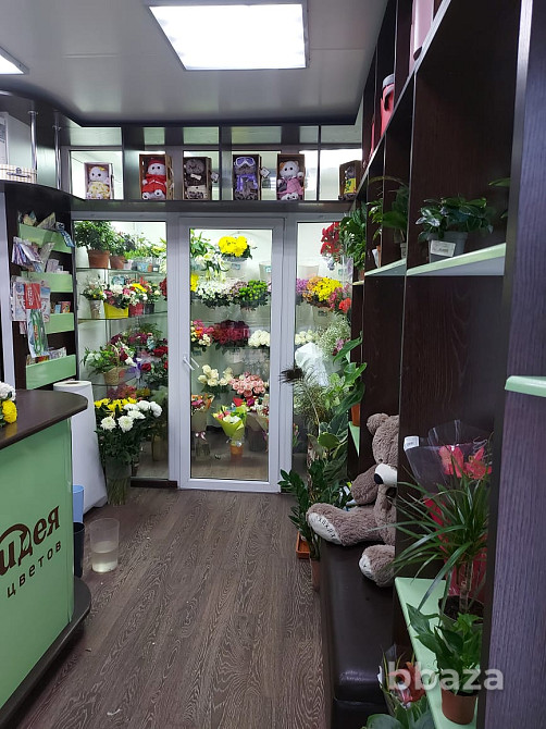 Торговое помещение 20 м2 Белокуриха - изображение 5