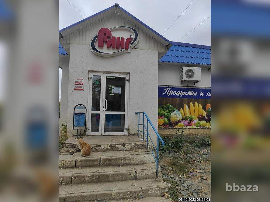 Торговое помещение 165.8 м2 Ясный - изображение 2