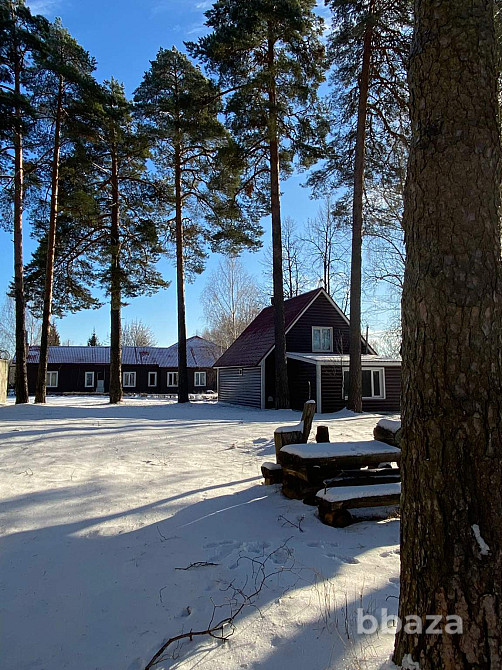 Продается база отдыха "Мещера" Владимирская область - изображение 4