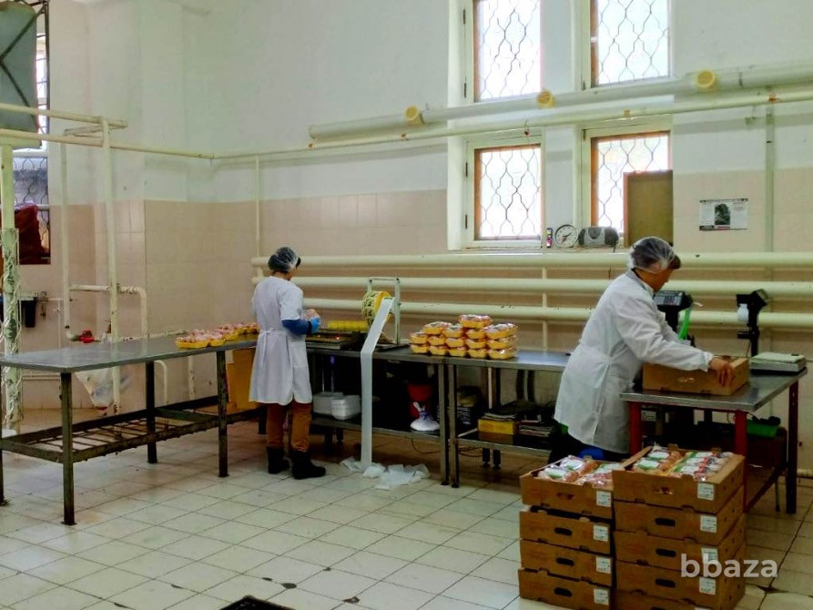 Пищевое производство. Строения 681м2 собственность Тула - изображение 3