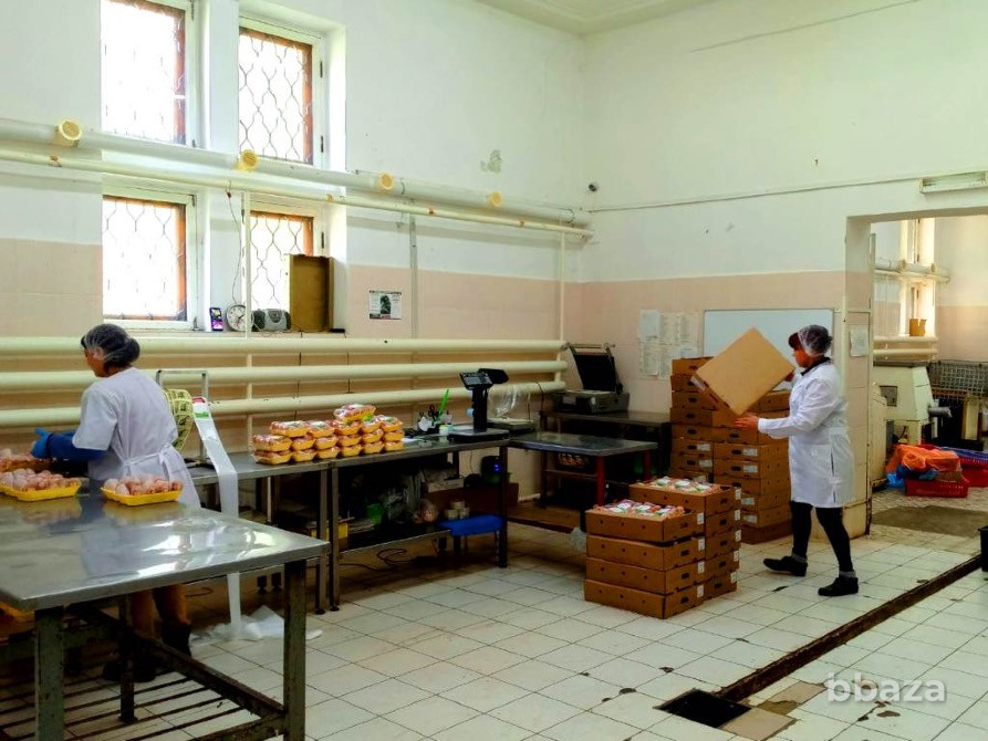 Пищевое производство. Строения 681м2 собственность Тула - изображение 2