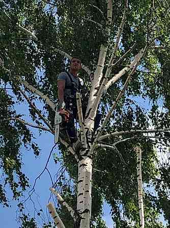 Выполняем все виды строительных работ Ковров