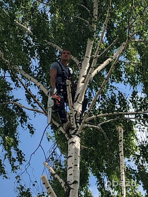 Выполняем все виды строительных работ Ковров - изображение 2