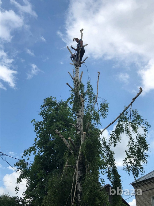 Выполняем все виды строительных работ Ковров - изображение 1