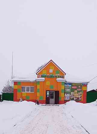 Торговое помещение 277.2 м2 в аренду Пушкино