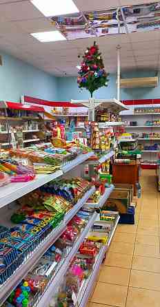 Торговое помещение 277.2 м2 в аренду Пушкино