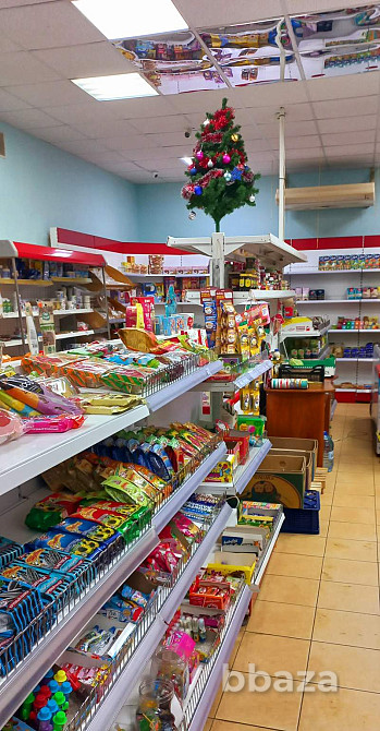 Торговое помещение 277.2 м2 в аренду Пушкино - изображение 3