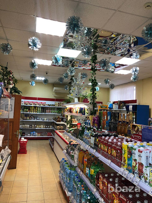 Торговое помещение 277.2 м2 в аренду Пушкино - изображение 4