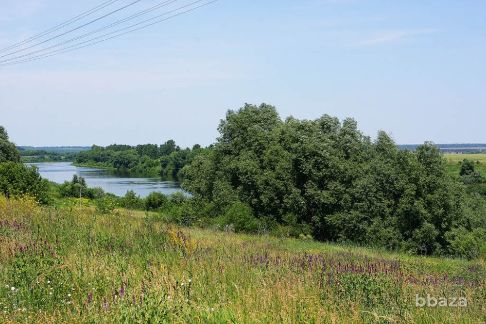 Инвестроект - Земля рекреации у реки Дон для строительства глемпинга, базы Липецк - изображение 4
