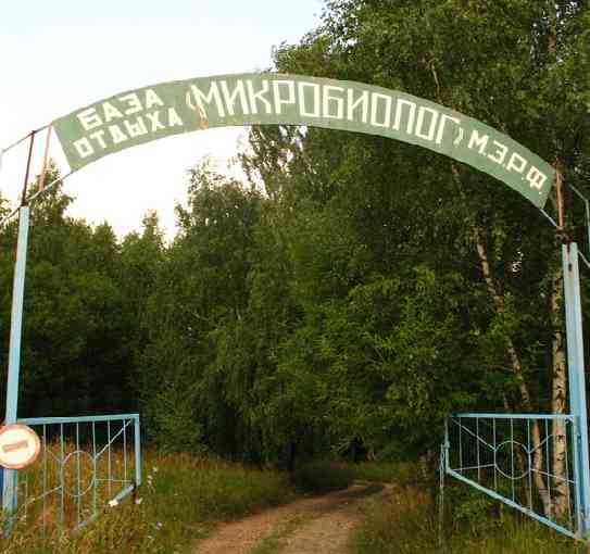 База отдыха Микробиолог Нижегородская область