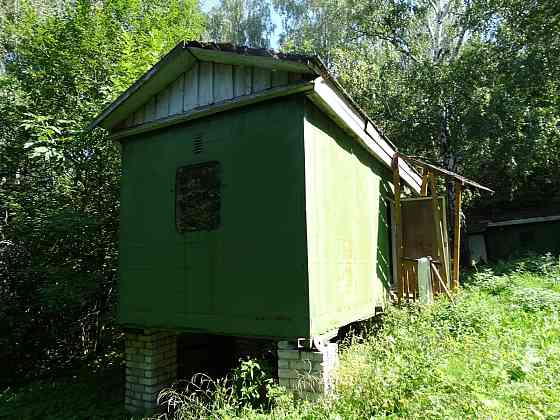 База отдыха Микробиолог Нижегородская область