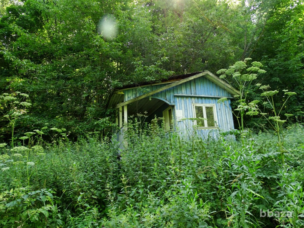 База отдыха Микробиолог Нижегородская область - изображение 7