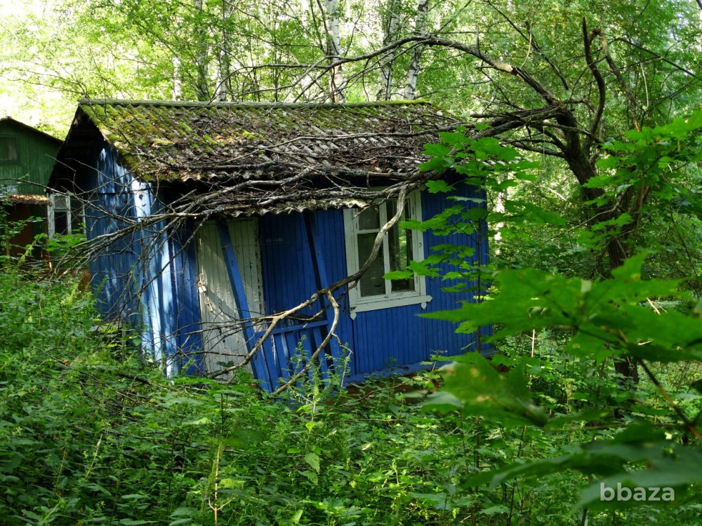 База отдыха Микробиолог Нижегородская область - изображение 8